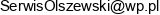 Firma Handlowo Uslugowa Piotr Olszewski Adres e-mail