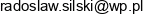 Rad Consulting Radoslaw Silski Email address