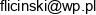 Specjalistyczna Praktyka Lekarska Jedrzej Flicinski Email address