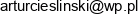 Zaklad Remontowo Budowlany Artur Cieslinski Email address