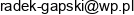 1 R Glazura 2 Kcr Kartingowe Centrum Radol Radoslaw Gapski Adres e-mail