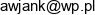 Bwj Budownictwo Wojciech Jankowski Email address