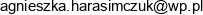 Salonik Fryzjerski Agnieszka Brysiewicz Email address