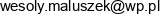 Katarzyna Budzilo Wspolnik Spolki Cywilnej Wesoly Maluszek Edyta Wojtowicz Katarzyna Budzilo Spolka Cywilna Adres e-mail
