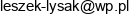 Leszek Lysak Przedsiebiorstwo Produkcyjno Uslugowo Handlowe Metal Factory Email address