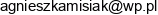 Amika Adres e-mail