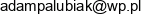 Aditech Adam Palubiak Email address