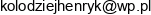 Przedsiebiorstwo Uslugowo Handlowe Henkokolodziej Henryk Email address