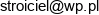Stroiciel Jakub Dziurzynski Email address