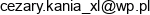 Kania Pracownia Artystyczna Cezary Kania Email address