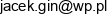Jacek Ginszt Pracownia Konik Podlaski Email address
