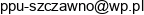 Pracownia Projektowo Uslugowa Email 1