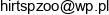 Hirt Adres e-mail