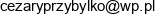 Cezary Przybylko Email address