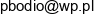F H U Przemyslaw Bodio Adres e-mail