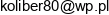 Fricold Tomasz Barczok Email address