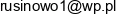 Adam Rolczynski Uslugi Rekreacyjne Email address