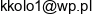 Krzysztof Oledzki Adres e-mail