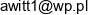 Andrzej Witt Email address