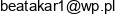 Prywatny Zlobek Kinderki Beata Karczewska Email address