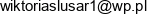 Praktyka Lekarska Wiktoria Gryzuk Email address