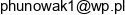 Przedsiebiorstwo Handlowo Uslugowe Nowak Robert Nowak Email address