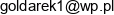Media Plan Adres e-mail
