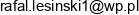 Gospodarstwo Rolne Rafal Lesinski Brykpel Rafal Lesinski Email address