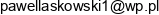 Az Carpets Pawel Laskowski Adres e-mail