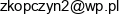 Bhpppoz Inwestor Zbigniew Kopczynski Email address