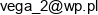 Wieslaw Ledniowski Vega Email address