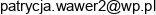 Wilkorek Patrycja Wawer Email address