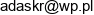 Pphu Remad Adam Skrzypczak Email address