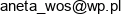 Lean Experience Business Institute Aneta Wos Adres e-mail