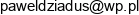 Pawel Dziadus Pawel Dziadus M D Industrial Group Adres e-mail