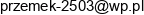 P U H Ecoart Przemyslaw Dziob Email address