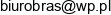 Brsa Email address