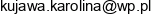 Firma Handlowo Uslugowa Jula Trans Jacek Kujawa Email address