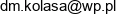 Analityka Biznesowa Dawid Kolasa Email address