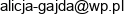 Alicja Pachla Constructor S C Email address