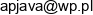 Ap Java Email address
