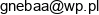Sklep Piekarniczo Spozywczy Kreska Anna Kraszkiewicz Gneba Email address