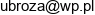 Firma Handlowa W I M Wojciech Broz Email address