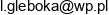 Indywidualna Praktyka Pielegniarska Leokadia Gleboka Adres e-mail