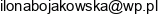 Ppp Ilona Bojakowska Email address
