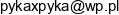 Przedsiebiorstwo Transportowo Uslugowe Kamil Pyka Email address
