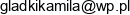 Finalis Adres e-mail