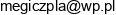 Sebastian Czapla Przedsiebiorstwo Transportowo Uslugowe Megi Email address