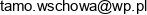 Przedsiebiorstwo Produkcyjno Handlowo Uslugowe Tamo Email 1
