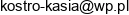 Indywidualna Praktyka Pielegniarska Katarzyna Kostro Email address